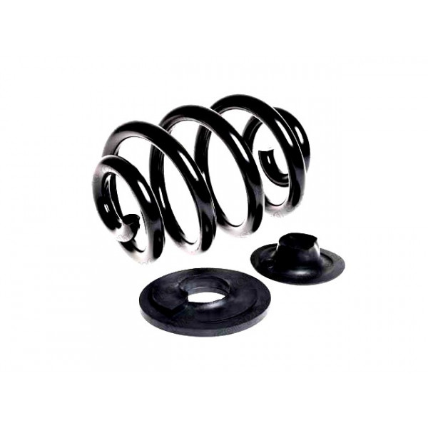 Suspension Spring VW 90-03 image