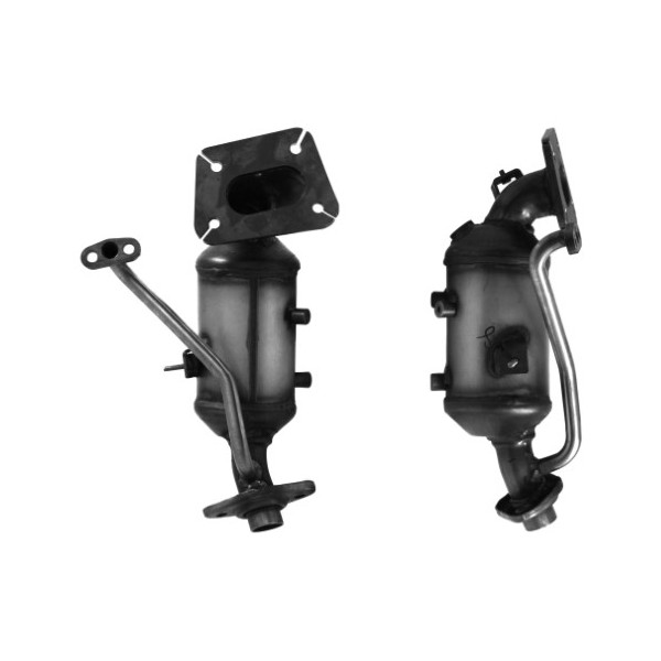 CAT CITR RENA C1 image