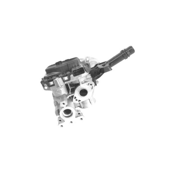 EGR Valve Citroen DS Peugeot Toyota Vauxhall 08-22 image
