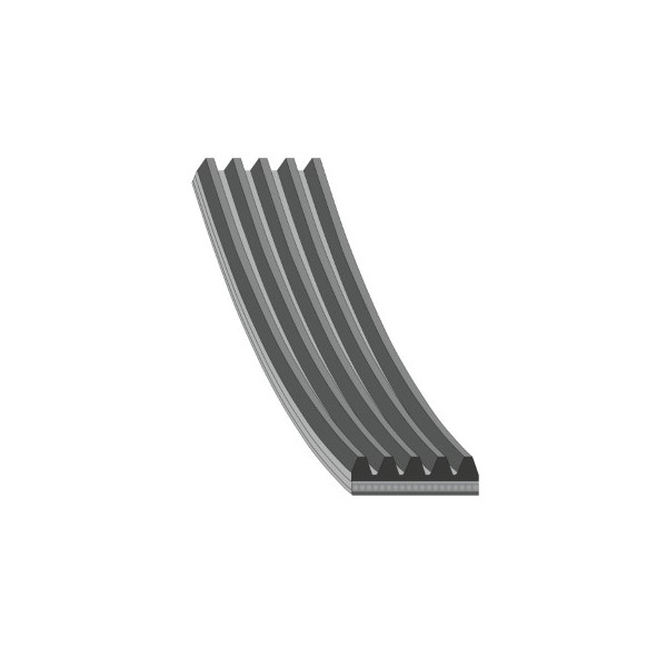 V-Ribbed Belt Toyota 03-09 image