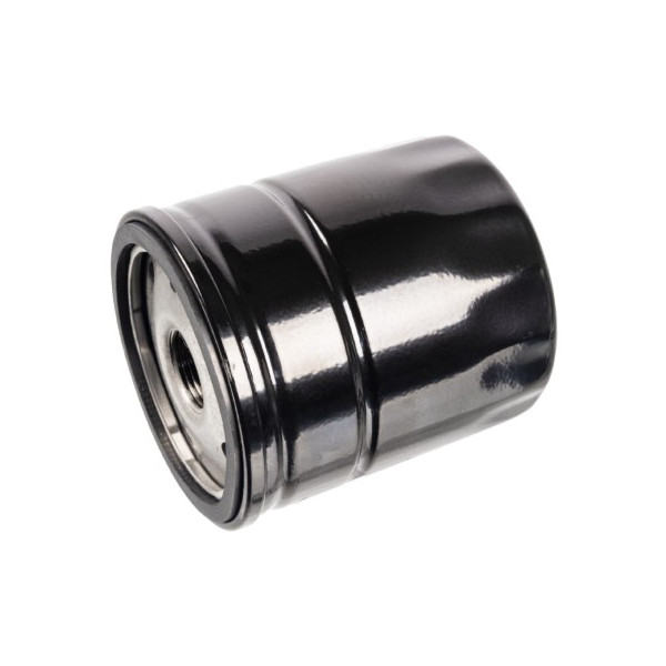 Oil Filter Alfa Romeo Fiat Jeep 09-20 image