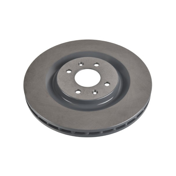 Brake Disc Citroen DS Peugeot 11-19 image