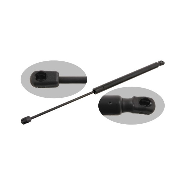 Gas Spring - Boot/Cargo Area Renault 03-11 image