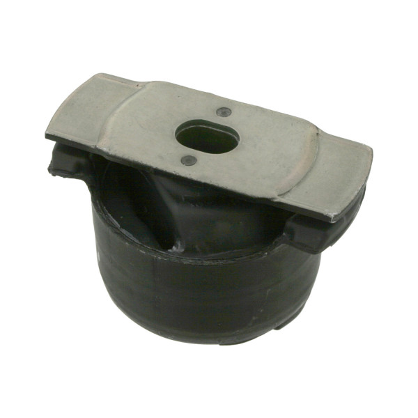 Bushing - Axle Cross Member Renault 01-07 image