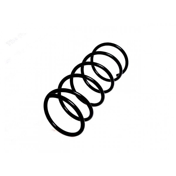 Neox Coil Spring (Front) image