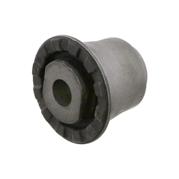 Bushing - Axle Cross Member Ford 00-07 image
