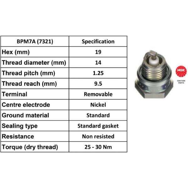 Spark Plug image
