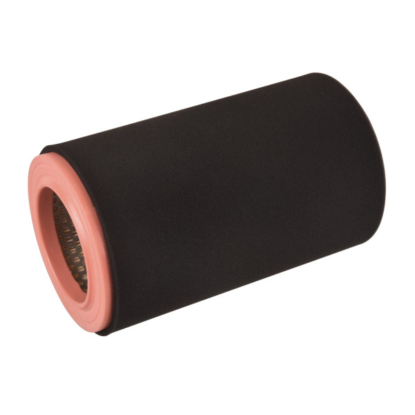 Purflux Air Filter image