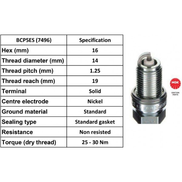 Spark Plug Peugeot Renault Saab Ssangyong 82-06 image