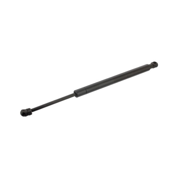 TGS409003 GAS SPRING (REAR) CHRY 300C 05-10 image