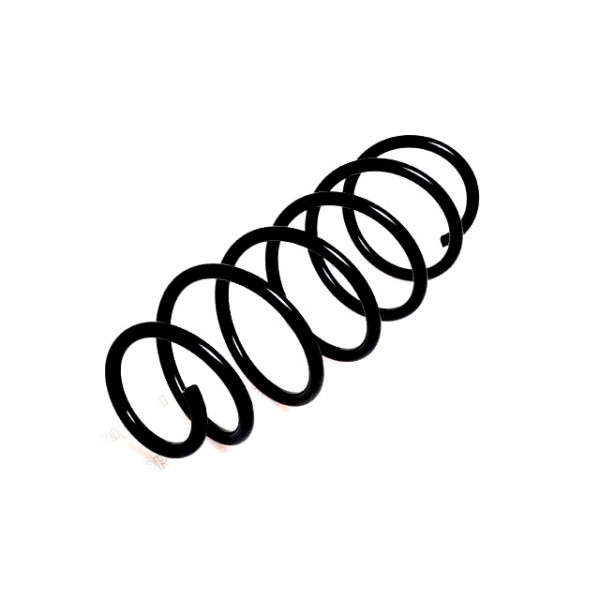 Suspension Spring Ford 00-07 image