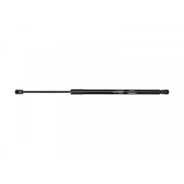 TGS430009 GAS SPRING R JEEP COMPASS 21 10-16 image