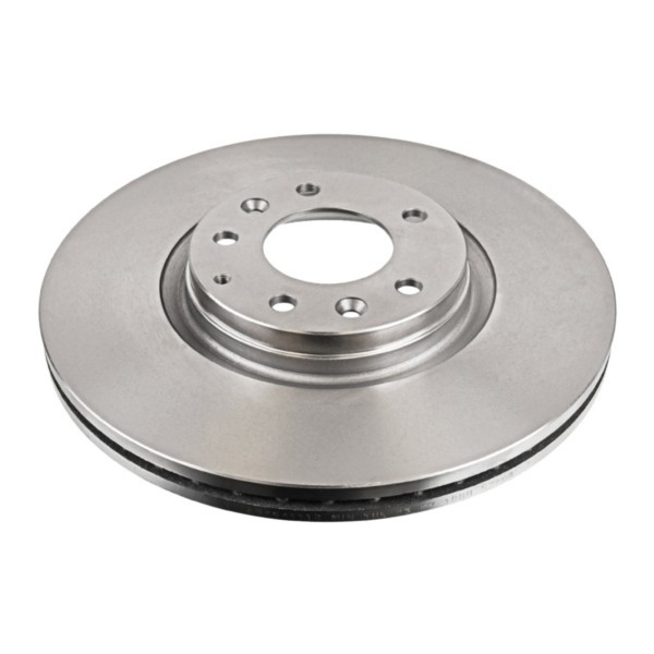 Brake Disc BMW 08-18 image