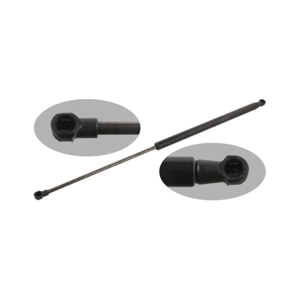 TGS416059 GAS SPRING R BELINGO 08-16 image