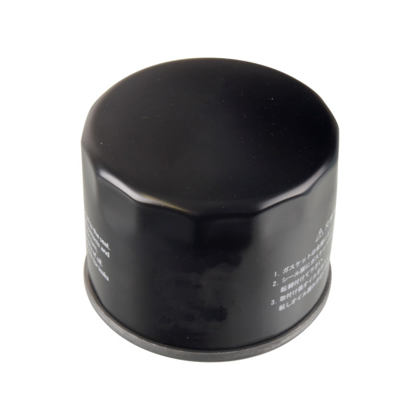 Oil Filter Ford 12-19 image