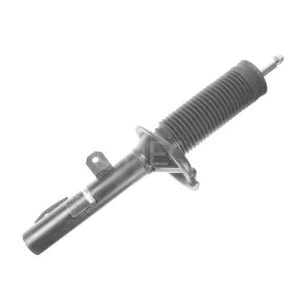 Shock Absorber Ford 06-14 image