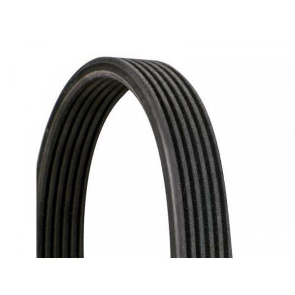 INA Drive Belt image