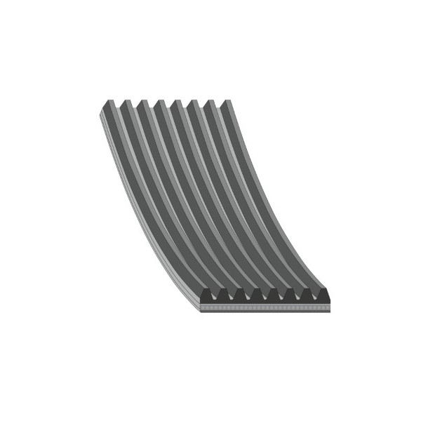 V-Ribbed Belt Mazda 01-09 image