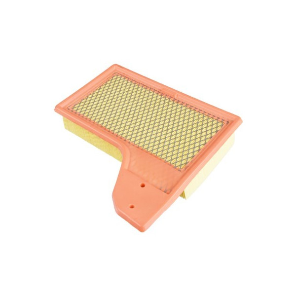 AIR FILTER MUSTANG 14-22 image