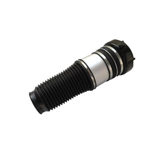 AIR STRUT NEW FRONT RIGHT AIR STRUT - 03-11 AUDI A image