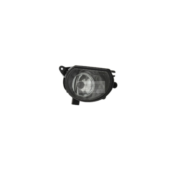 Trupart Fog Lamp (Front Right Hand) image