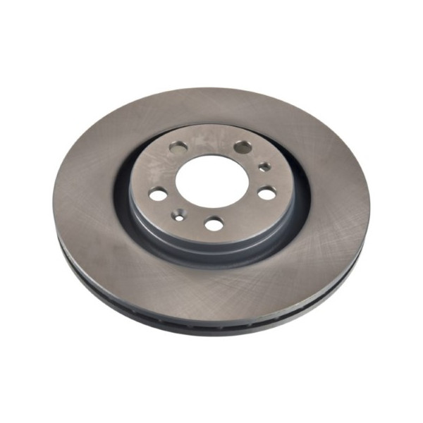 SGL BRK DISC FT SKODA 89-97 image