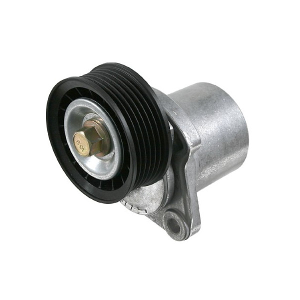 Belt Tensioner - V-Ribbed Belt Ford Volvo 00-15 image