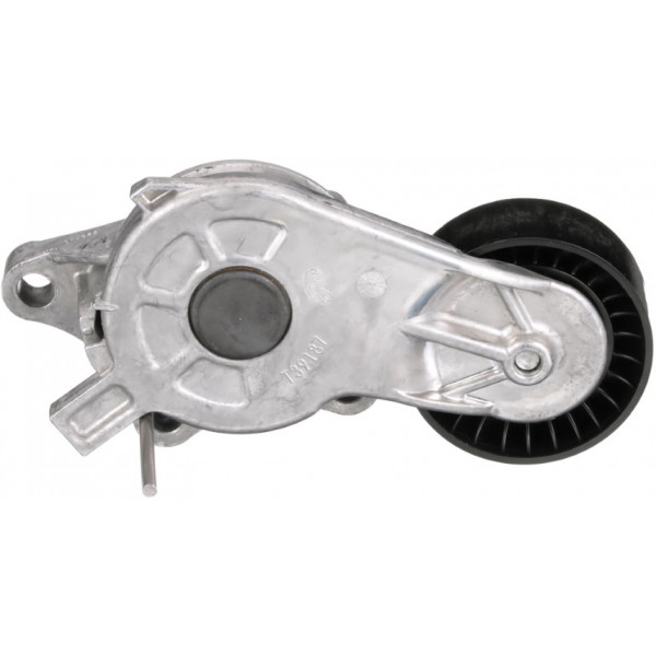 TENSIONER CITR RENA 09-15 image