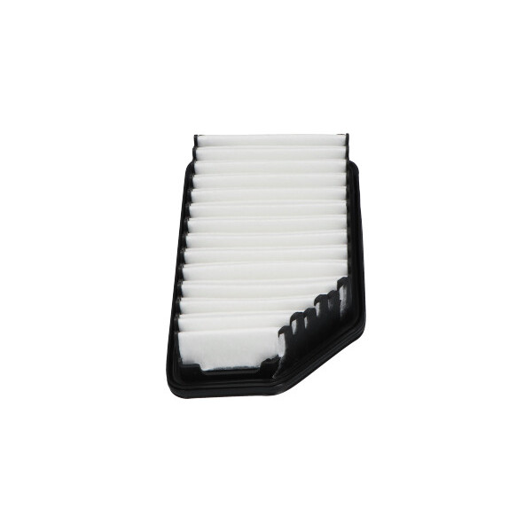 Air Filter Hyundai Kia 09-18 image