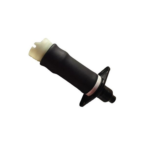 AIR SPRING (REAR RIGHT) AUDI A6 ALLROAD QUATTRO 98 image