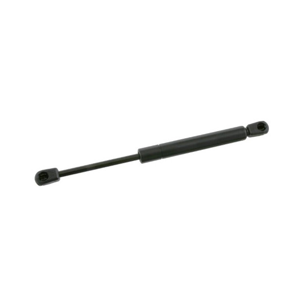 TGS466060 GAS SPRING (REAR) PASSATT 97-05 image