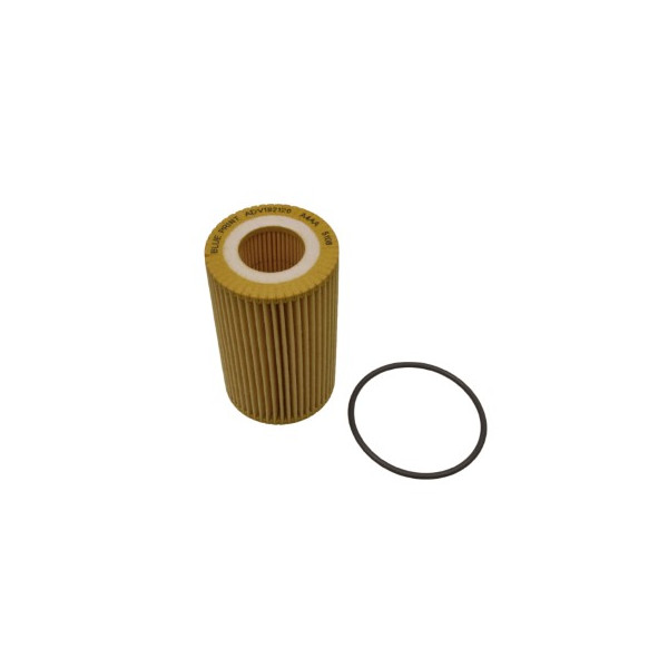 Oil Filter Audi 08-19 image
