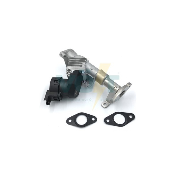 EGR Valve BMW 04-13 image