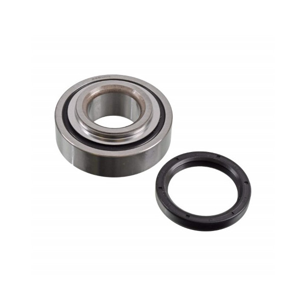 Wheel Bearing Kit 97-11 image