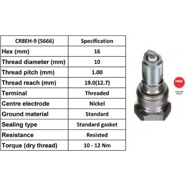 SPARK PLUG BIKE image