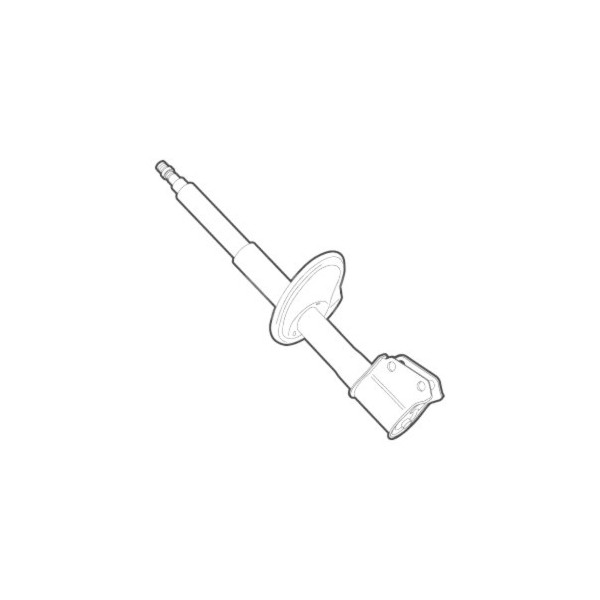 Shock Absorber Ford 96-08 image