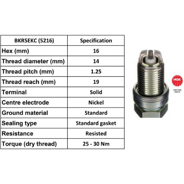 Spark Plug Fiat 96-09 image