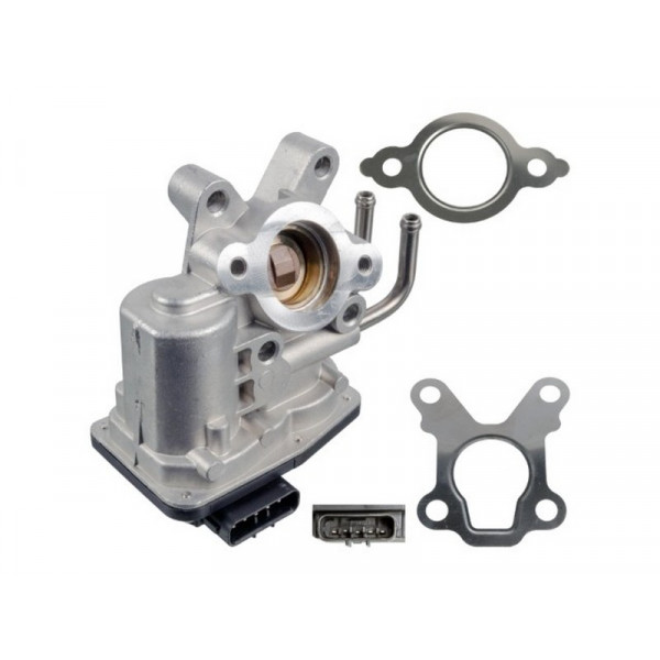 EGR Valve Nissan 00-13 image