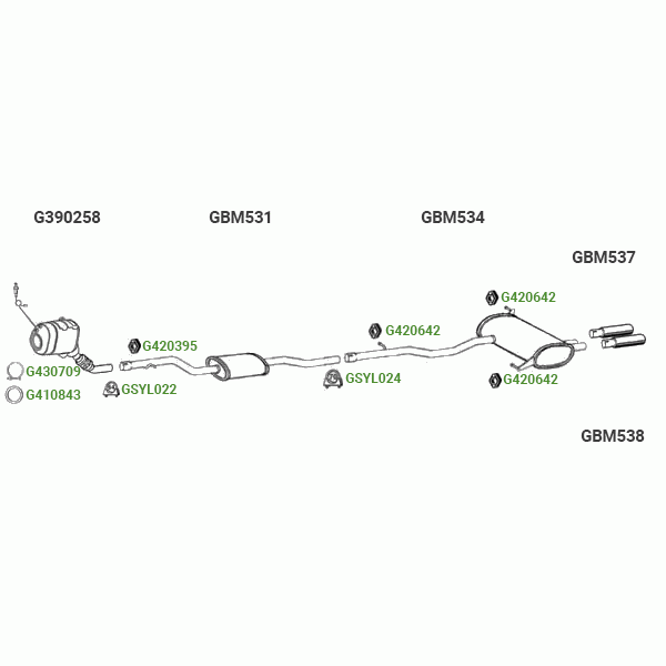 GT Exhausts Exhaust System image