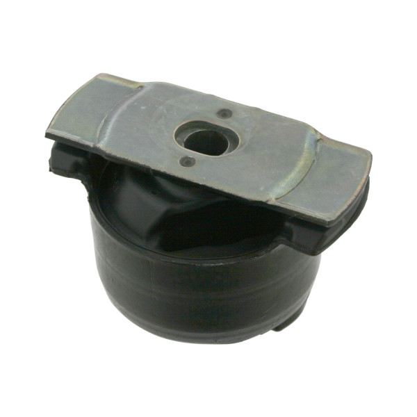 Bushing - Axle Cross Member Renault 01-07 image