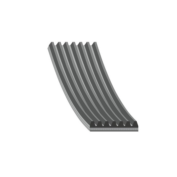 V-Ribbed Belt Toyota Lexus 03-18 image