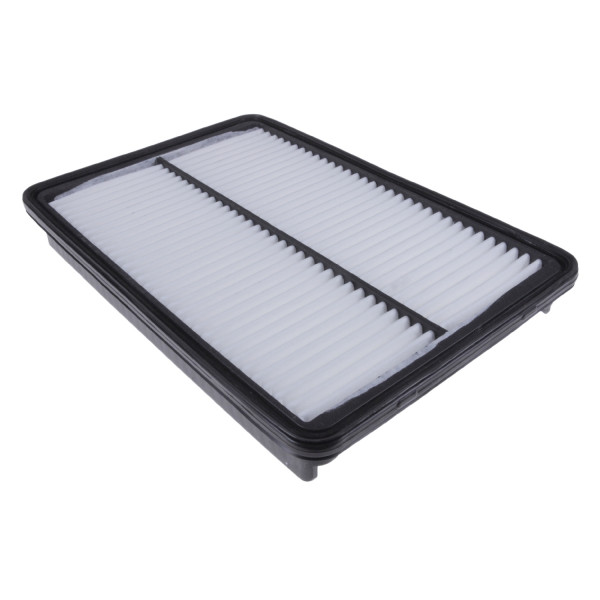 Air Filter Hyundai Kia 09-18 image