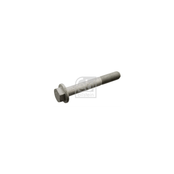 Febi Nuts Bolts Etc (Front) image
