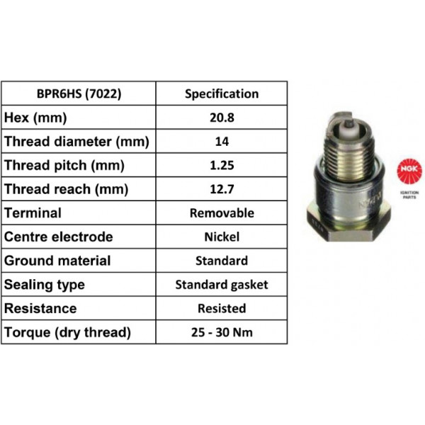 Spark Plug Dacia Ford Vauxhall 66-04 image