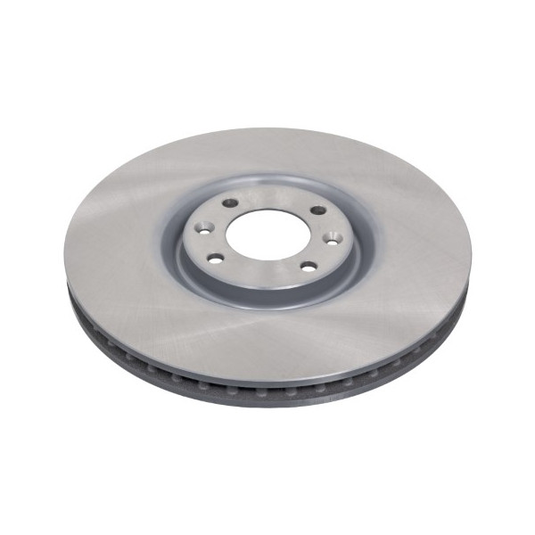 Brake Disc Citroen DS Peugeot 10-18 image