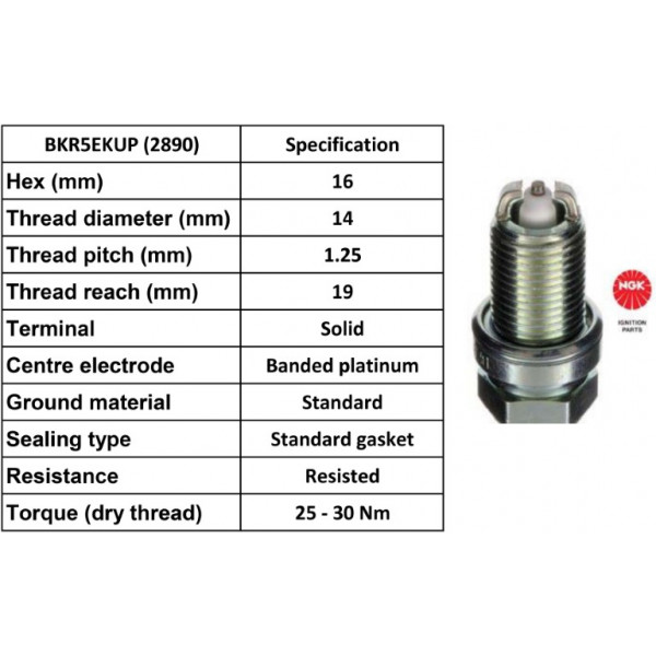 Spark Plug Ford Mercedes Seat VW 91-06 image