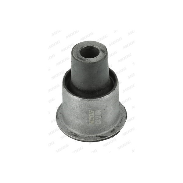 Mounting - Control/Trailing Arm Nissan 05-10 image