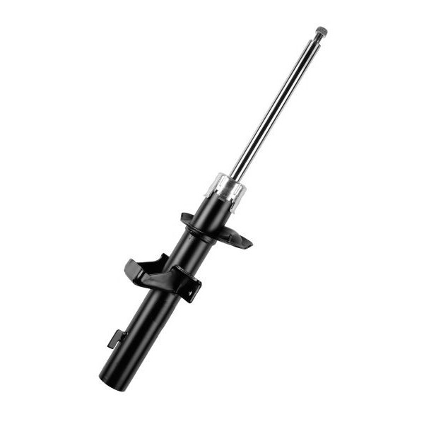 Shock Absorber Ford 00-07 image