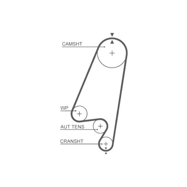 TIMING BELT KIT & WATER PUMP FRONTERA 20 92 -98 image