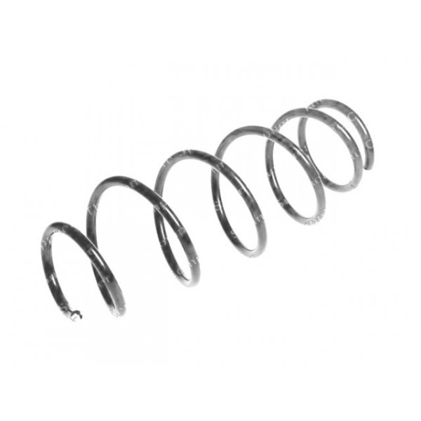 Neox Coil Spring (Front) image